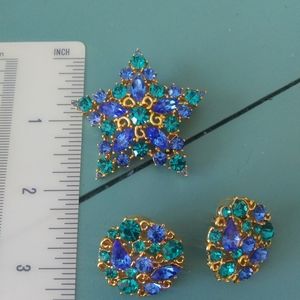 Gorgeous Pin & Earring Set